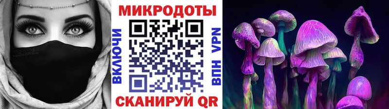 Псилоцибиновые грибы мицелий  Губкин 